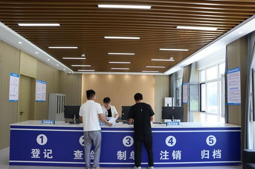 單縣北外環(huán)大型報廢機(jī)動車與舊家電拆解 廢棄電器電子產(chǎn)品處理廠掠影